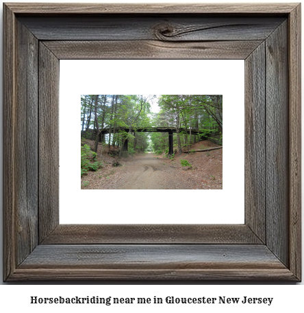 horseback riding near me in Gloucester, New Jersey